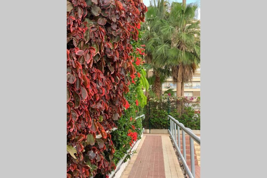 Jardines Del Sur, Ocean View